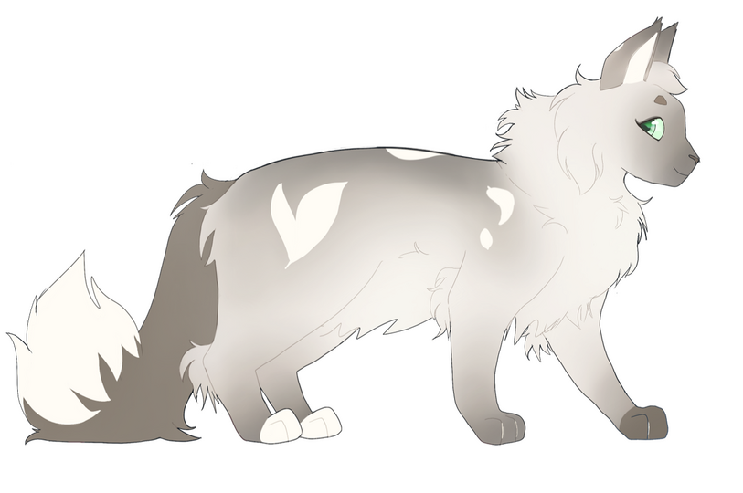 Character Sheet